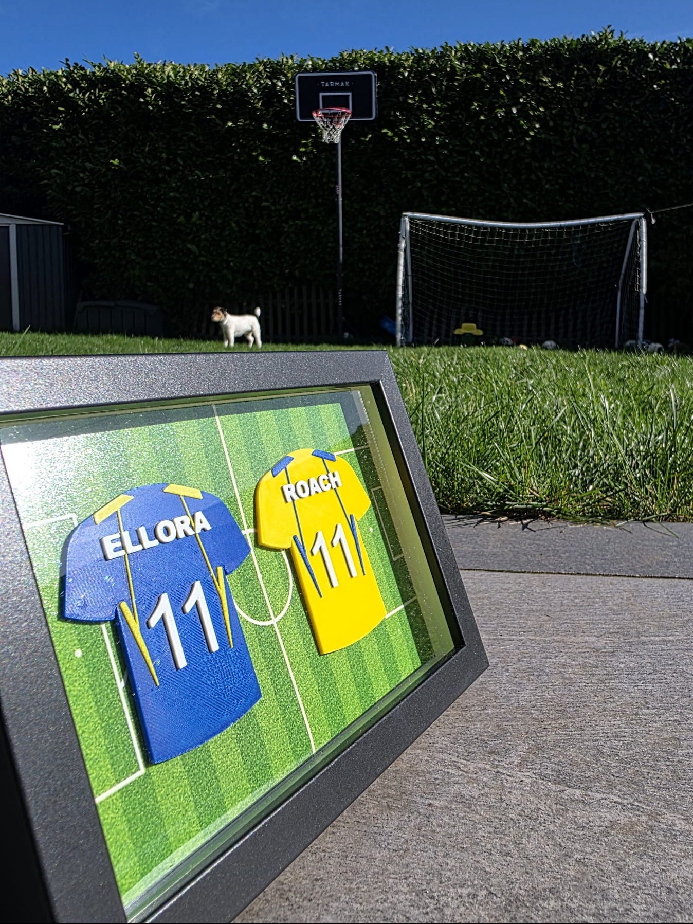 Personalised 3D Printed Framed Sports Shirt (2 Shirt Frame)